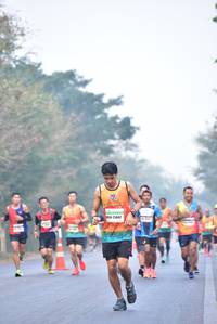 BIB: 
                            <button type="button" onclick="openModal(10134702)" class="btn btn-primary btn-sm float-right btn-popup" data-toggle="modal" data-target=".modal-high-quality">
                        <i class="fas fa-shopping-cart"></i> Add to Cart
                    </button>
                                            <button type="button" onclick="isThisMe(10134702, true)" class="btn btn-success btn-sm float-right btn-popup btn-isme hidden" data-toggle="tooltip" data-placement="bottom" title="นี่คือรูปของคุณใช่ไหม คลิกที่นี่เพื่อเอาเข้าอัลบั้ม">
                        <i class="fas fa-plus"></i> Add to album
                    </button>
                    <button type="button" onclick="isThisMe(10134702, false)" class="btn btn-warning btn-sm float-right btn-popup btn-isnotme hidden">
                        <i class="fas fa-ban"></i> Remove from album
                    </button>